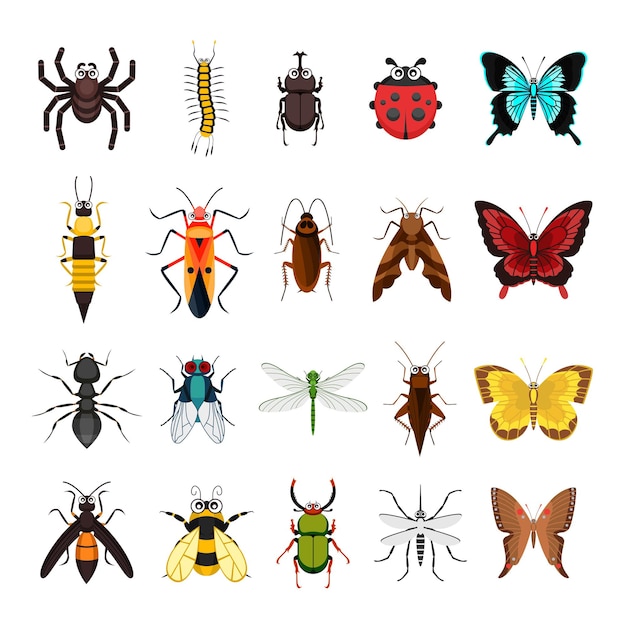 Collection d'animaux insectes isolé sur blanc