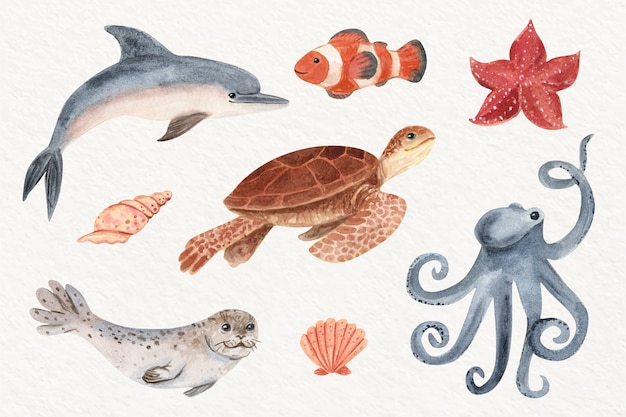 Collection d'animaux marins aquarelle