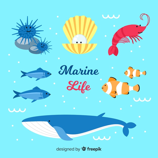 Collection D'animaux Marins Dessinés à La Main