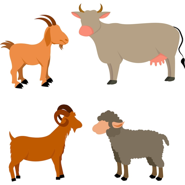 Vecteur collection d'animaux de qurban