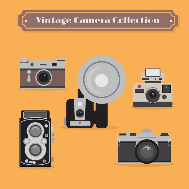 Collection D'appareils Photo Vintage