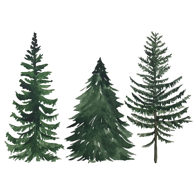 Collection d'aquarelle d'arbres verts