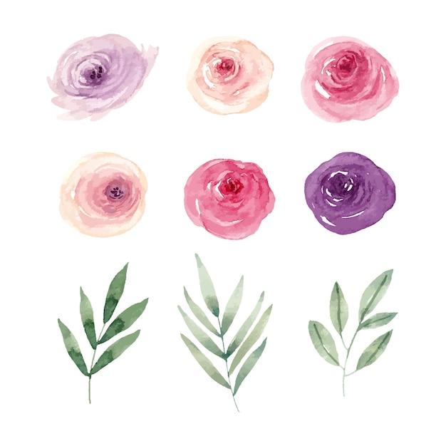 Collection Aquarelle De Fleurs Bordeaux Violet Foncé