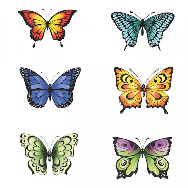 Collection D'aquarelle De Style Papillon Coloré