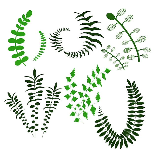 Collection aquarelle vectorielle avec différents types de feuilles