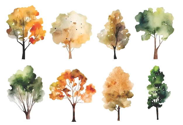 Collection D'arbres Aquarelles Ensemble Vectoriel