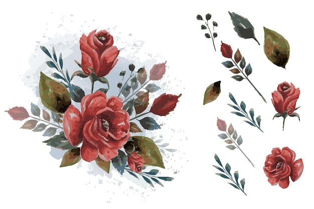 collection d'arrangements floraux aquarelle de vecteur
