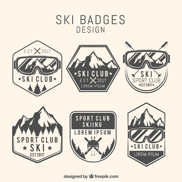 Collection De Badge De Ski