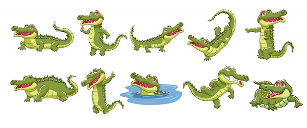 Collection De Bandes Dessinées De Crocodile