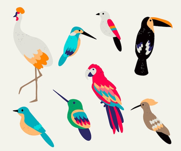 Collection de beaux oiseaux tropicaux exotiques isolé sur fond blanc