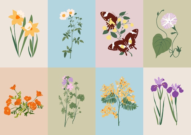 Collection Bohémienne D'illustrations De Fleurs Sauvages Et Botaniques