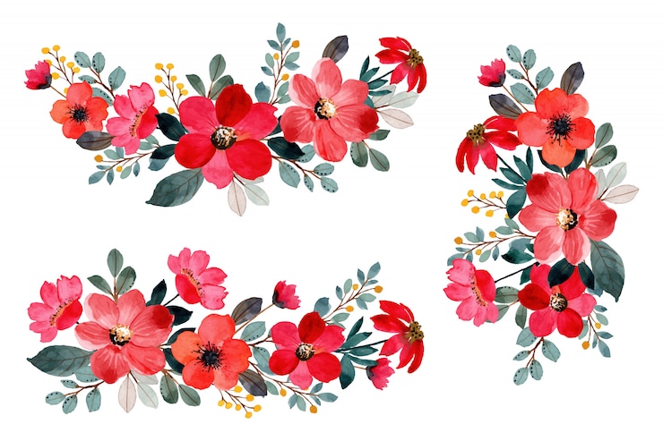 Vecteur collection de bouquet de fleurs rouges aquarelle