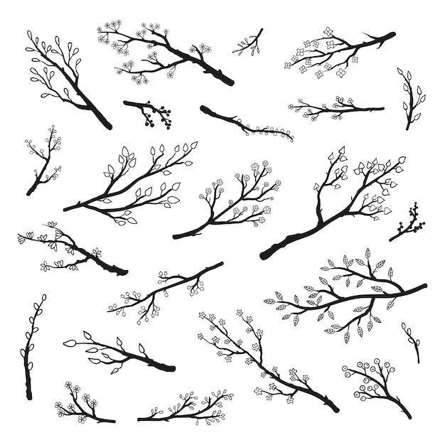 Vecteur collection de branches d'arbres dessinées à la main avec des feuilles et des fleurs isolées sur un fond blanc