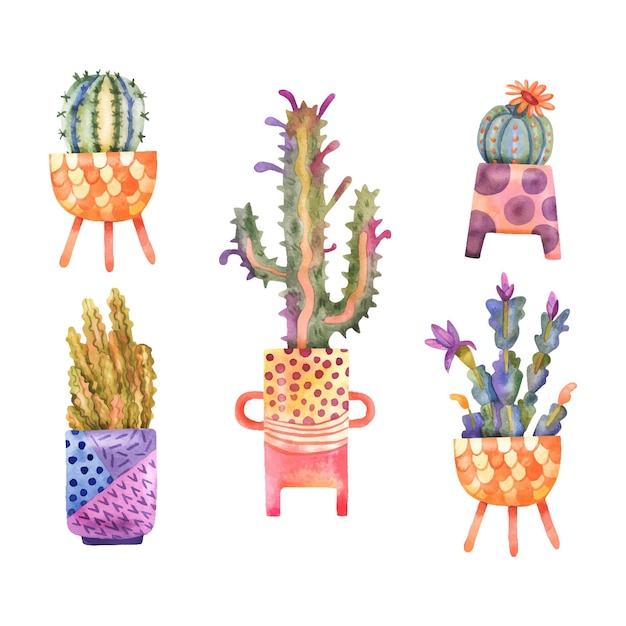 Collection de cactus à l'aquarelle en pots Cactus et plantes succulentes dessinés à la main dans des pots colorés et mignons isol