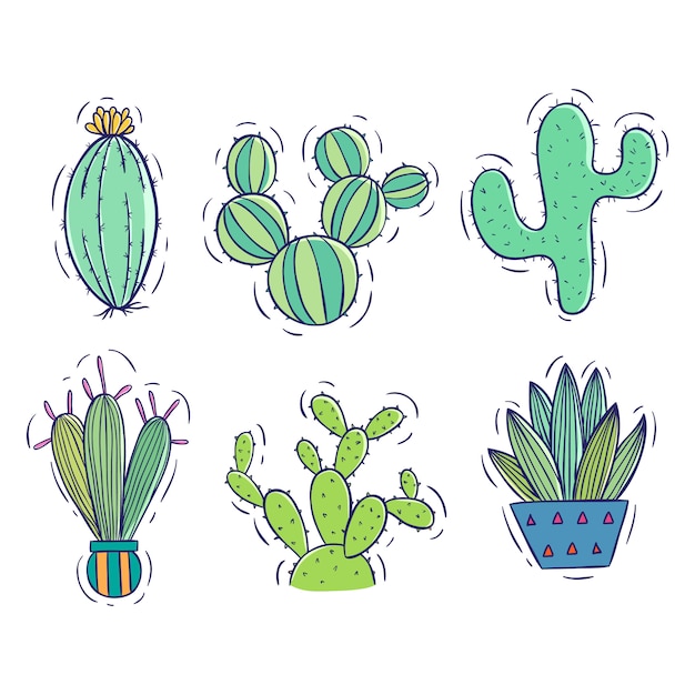 Collection De Cactus Doodle Avec Pot Blanc