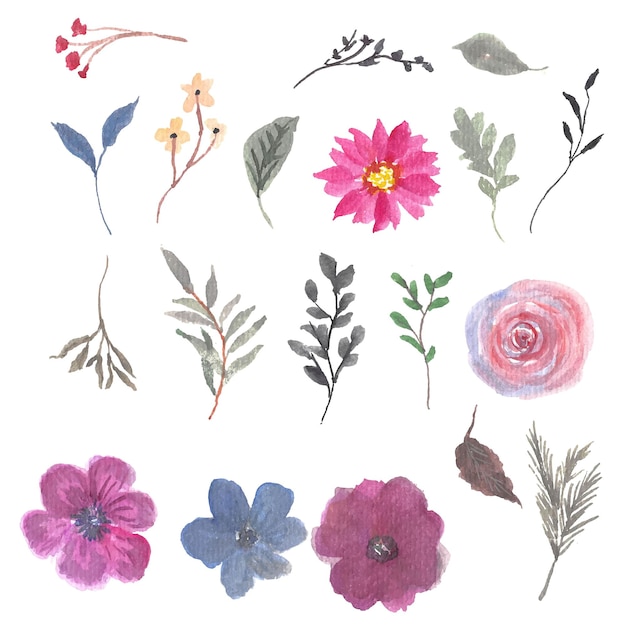 Collection de cadre de fleur aquarelle