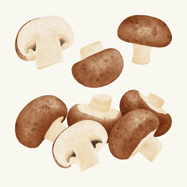Collection de champignons à l'aquarelle dessinée à la main
