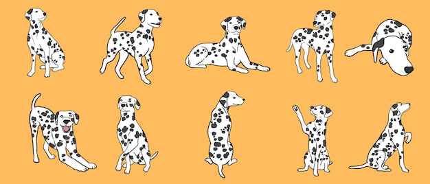 Collection de chien Dalmatien dans différentes poses