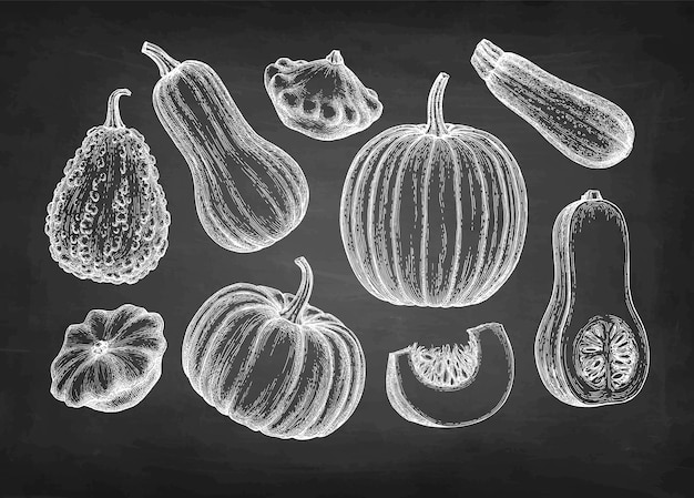 Collection De Citrouilles Dessin à La Craie D'une Casserole De Courgette Et De Courgettes Sur Tableau Noir