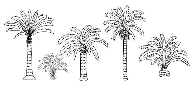 Vecteur collection de contours d'arbres de dates dessinés à la main