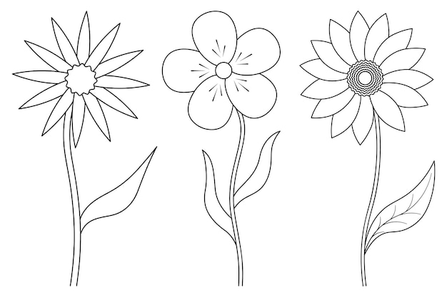 Collection De Croquis De Fleurs Avec Feuille Sur Tige Dans Un Style Doodle