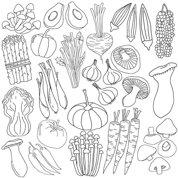 Collection Dessinée à La Main De Légumes Frais Dans Un Style D'art Doodle