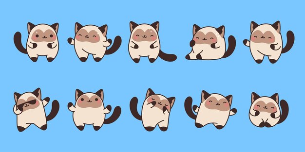 Vecteur collection de dessins animés vectoriels de chats siames set d'illustrations d'animaux félins isolés de kawaii