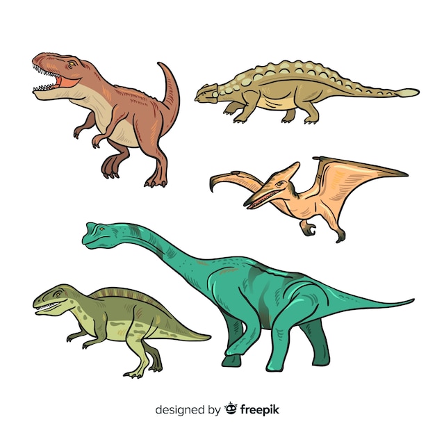 Collection De Dinosaures Dessinés à La Main