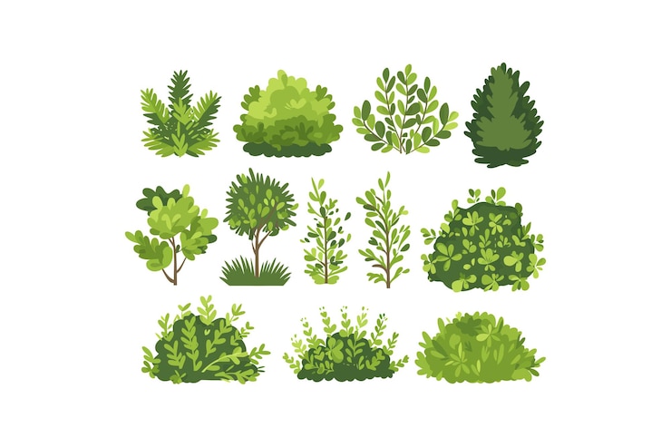 Vecteur collection de divers buissons verts conception d'illustrations vectorielles