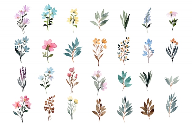 collection d'éléments aquarelle floral sauvage