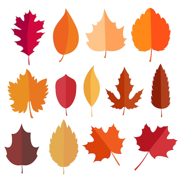 Collection d&#39;éléments automne