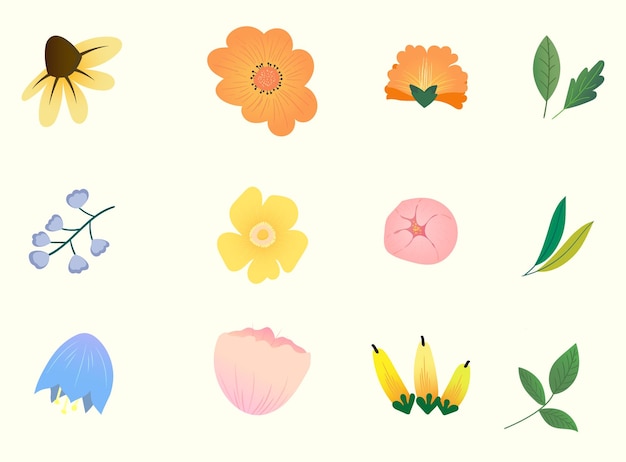 Collection d'éléments de fleurs colorées de printemps, ensemble vectoriel de fleurs de fleurs sauvages, feuillage de branches de feuilles sur