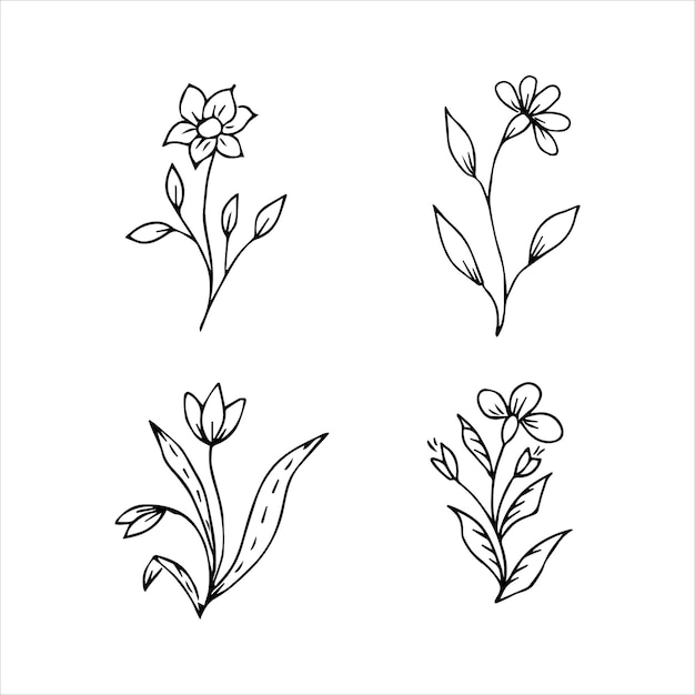 Collection d'éléments floraux botaniques dessinés à la main pour le concept de design floral