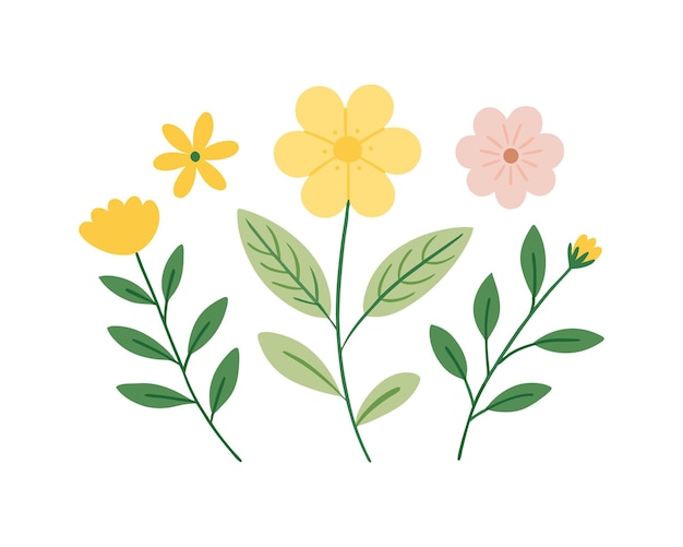 Une collection d'éléments floraux colorés