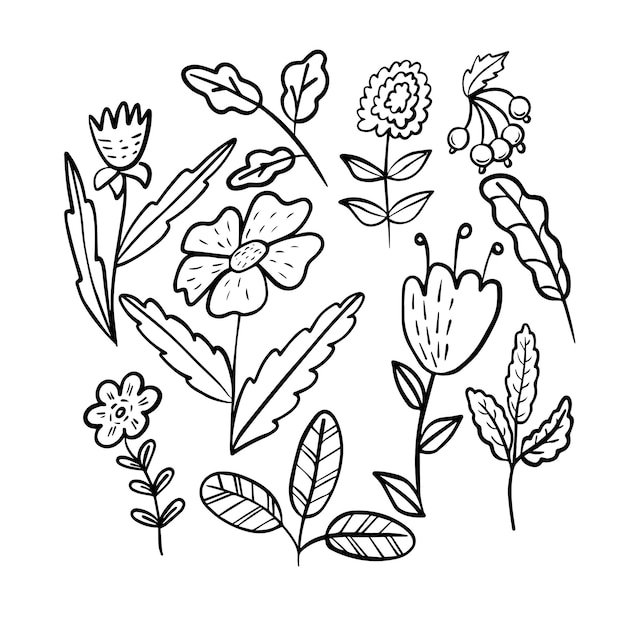 Collection D'éléments Floraux Dans Un Style Doodle... Feuilles Et Fleurs Décoratives Dessinées à La Main. Branches D'arbres Avec Feuilles Et Fleurs.