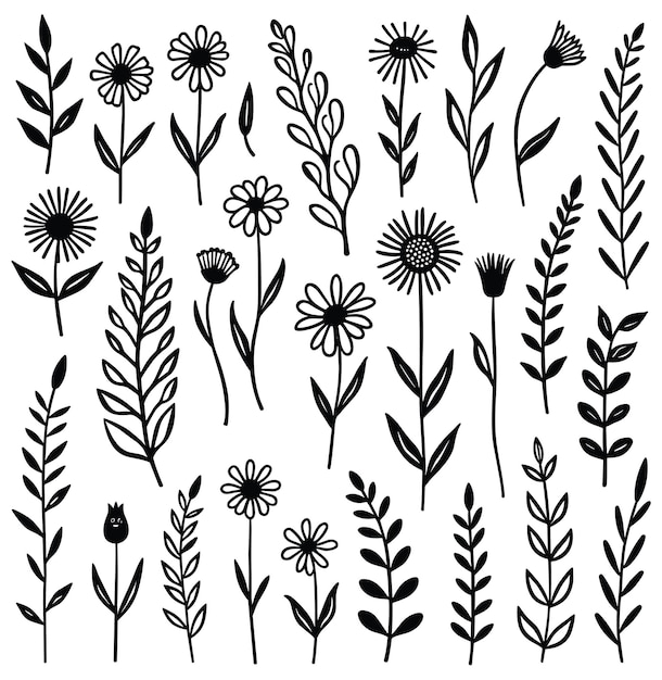 Collection d'éléments floraux dessinés à la main parfaits pour les projets de conception
