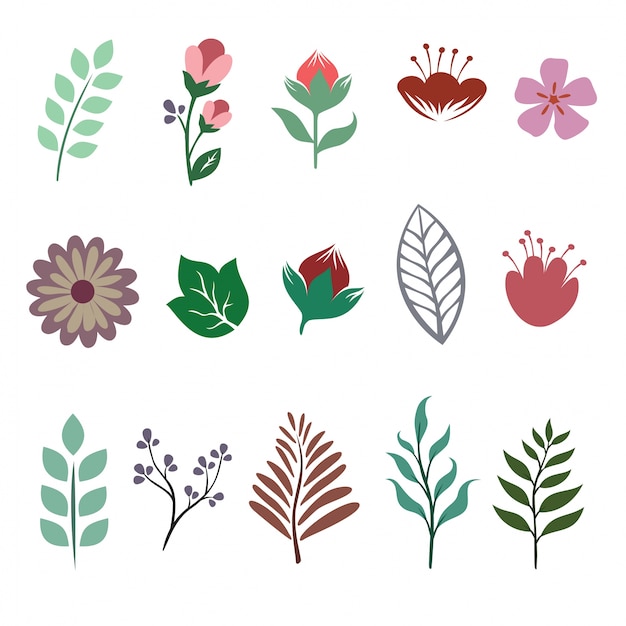 Collection d&#39;éléments floraux