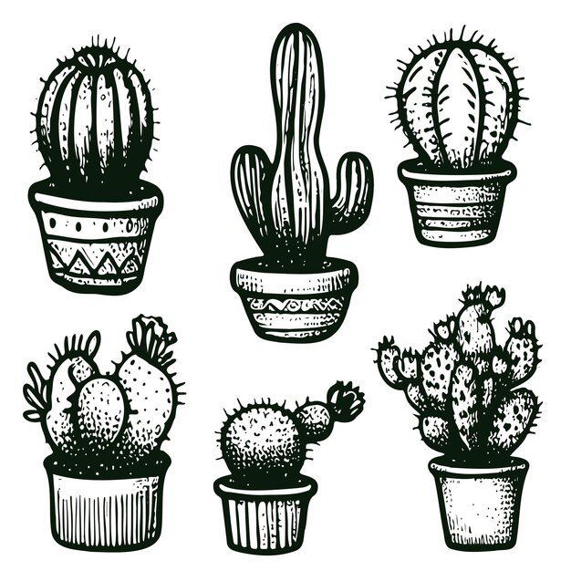 Collection D'éléments Isolés De Cactus Et De Succulentes Vecteurs Noirs De Contour