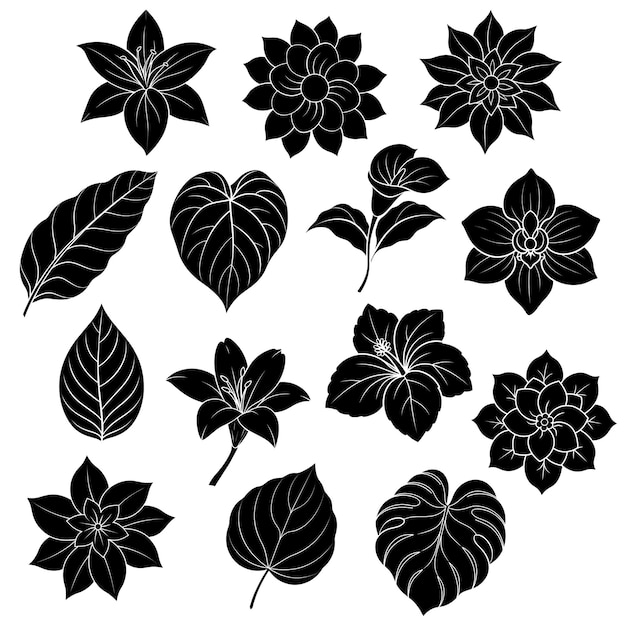 Vecteur collection d'éléments silhouettes de fleurs et de feuilles