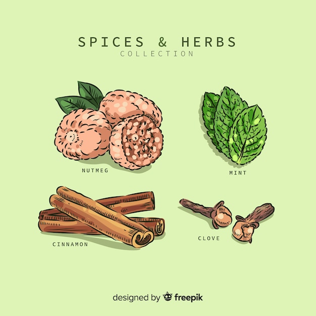 Collection D'épices Et D'herbes