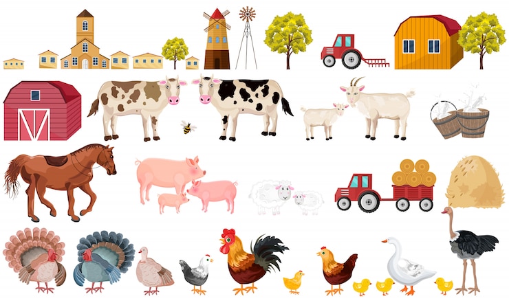 Vecteur collection de ferme