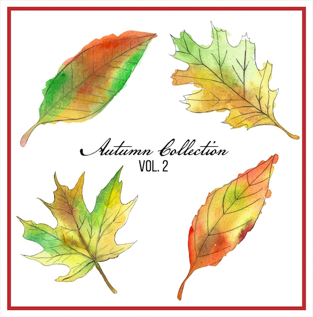 Collection De Feuilles D'automne Aquarelle