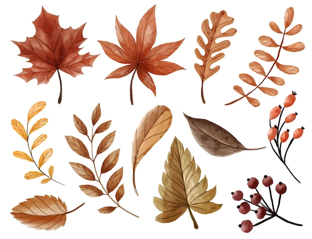 Collection de feuilles d'automne aquarelle