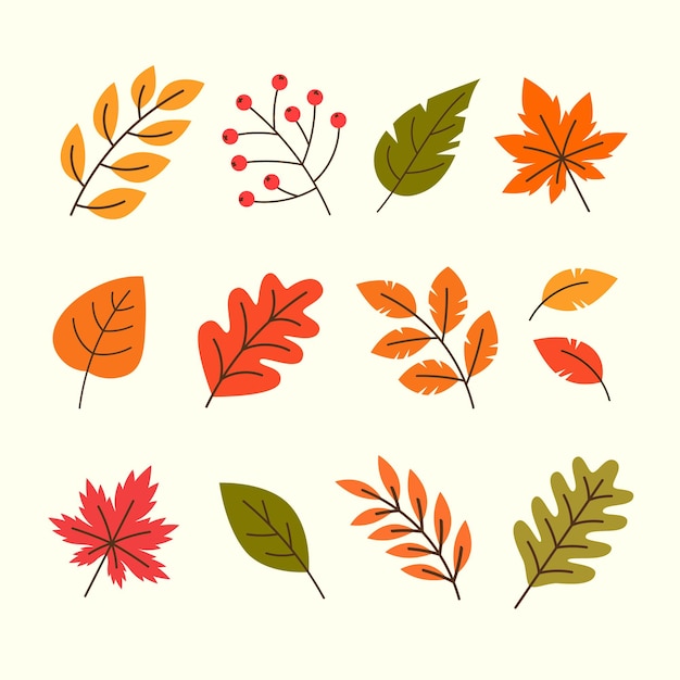 Collection de feuilles d'automne dessinées à la main