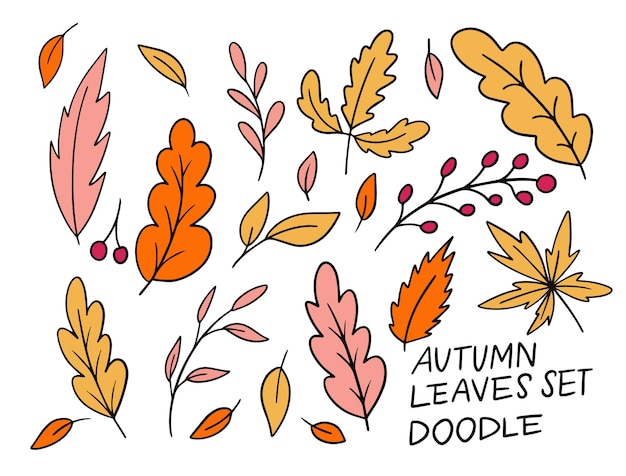 Vecteur collection de feuilles d'automne doodle