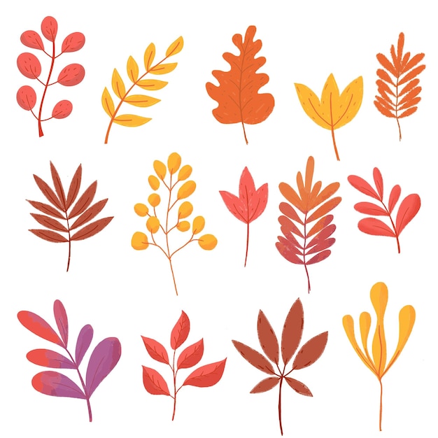 Collection de feuilles d'automne Illustration vectorielle