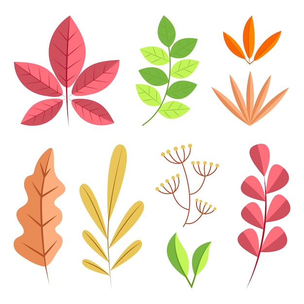une collection de feuilles et de feuilles de différentes couleurs