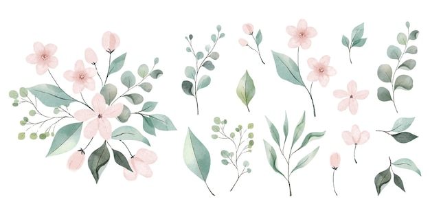 Collection de feuilles et de fleurs aquarelles