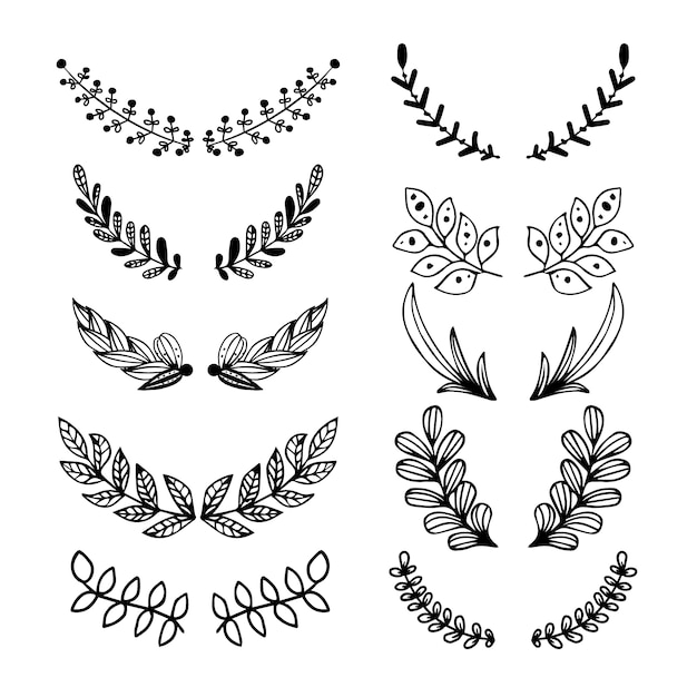 Collection de feuilles ornementales