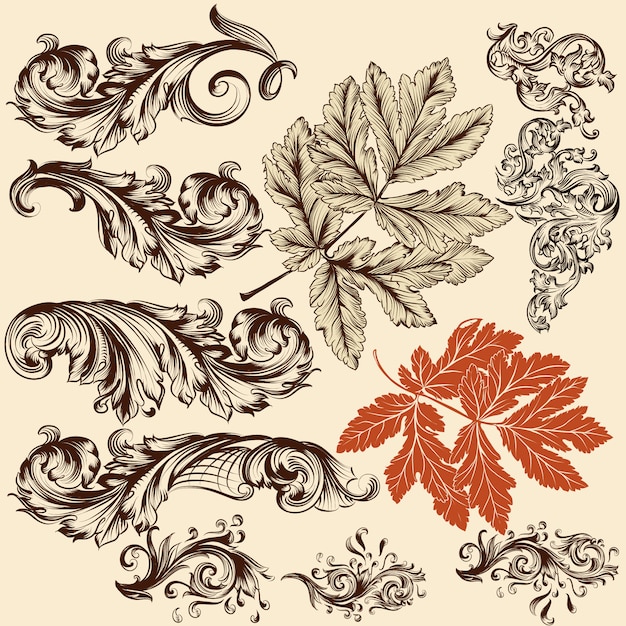 Collection De Feuilles Et Ornements D'époque